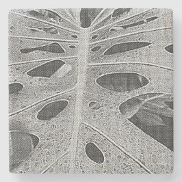 Porta-copo De Pedra Silkscreen de Monstera