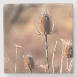 Porta-copo De Pedra Simplesmente Espetar