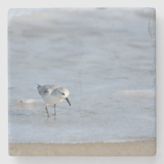 Porta-copo De Pedra Single Sandpiper walking on beach 