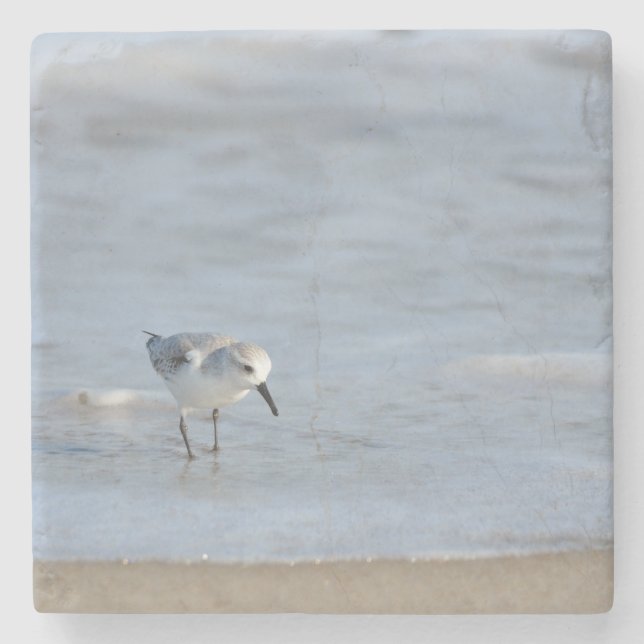 Porta-copo De Pedra Single Sandpiper walking on beach  (Frente)