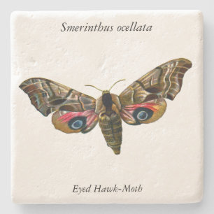 Porta-copo De Pedra Smerinthus ocellata - Olhos Hawk-Moth - Imagem a c