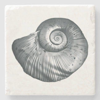 Porta-copo De Pedra Snail Shell