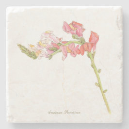 Porta-copo De Pedra Snapdragon