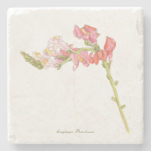 Porta-copo De Pedra Snapdragon