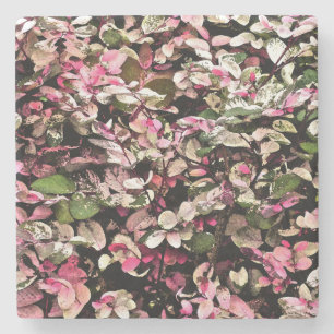 PORTA-COPO DE PEDRA "SNOWBUSH HAVAIANO" /PINKS, VERDES E BRANCOS