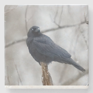 Porta-copo De Pedra Snowy_Crow_Coaster