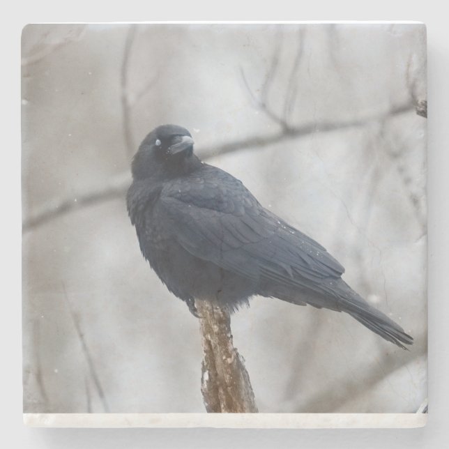 Porta-copo De Pedra Snowy_Crow_Coaster (Frente)