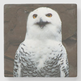 Porta-copo De Pedra Snowy Owl - Percurso