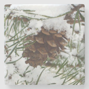 Porta-copo De Pedra Snowy Pine Cone I Winter Nature Photoshop