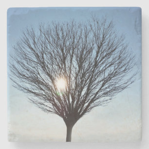 Porta-copo De Pedra Sol de inverno