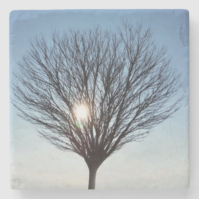 Porta-copo De Pedra Sol de inverno (Frente)