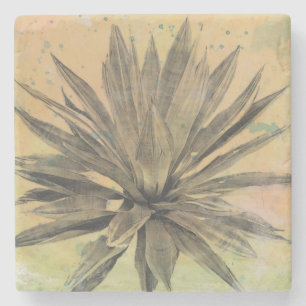 Porta-copo De Pedra Sonhos do Deserto   Planta Verde