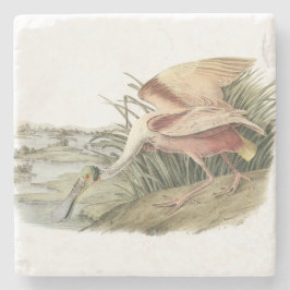 Porta-copo De Pedra Spoonbill róseo por Audubon