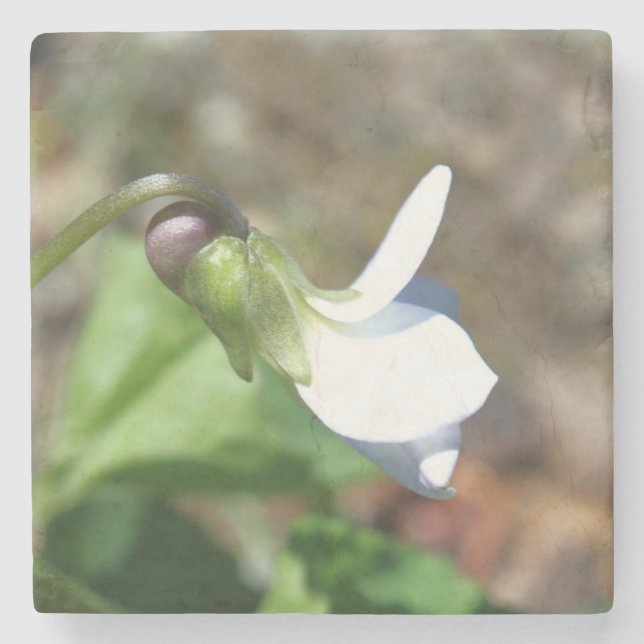 Porta-copo De Pedra Stone Coaster (Frente)