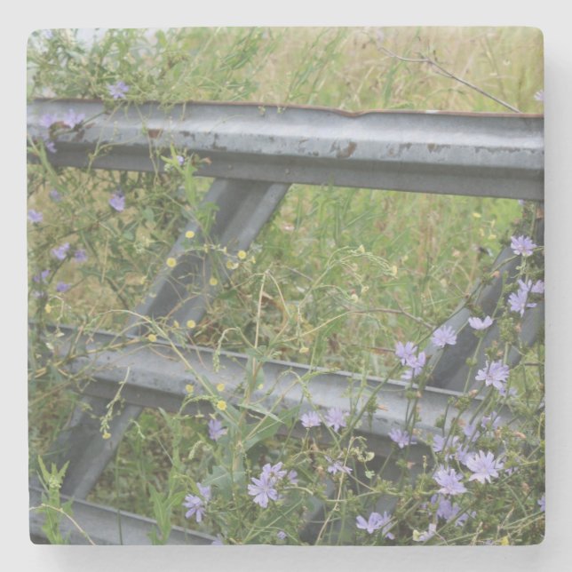 Porta-copo De Pedra Stone Coaster (Frente)