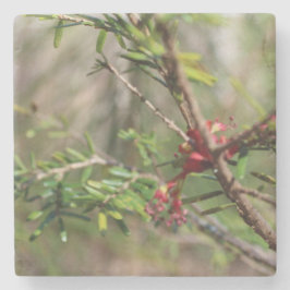 Porta-copo De Pedra Stone Coaster