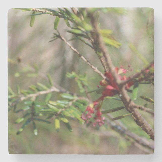 Porta-copo De Pedra Stone Coaster (Frente)