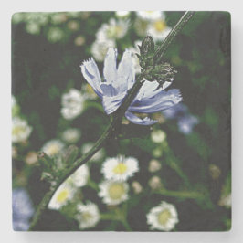 Porta-copo De Pedra Stone Coaster