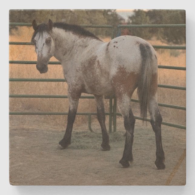 Porta-copo De Pedra Stone Coaster_appy backside  (Frente)