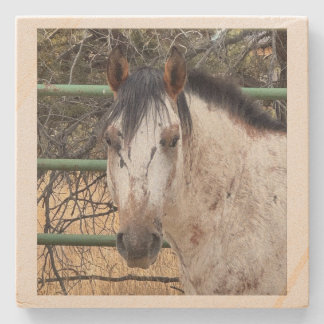 Porta-copo De Pedra Stone Coaster- Happy Appy