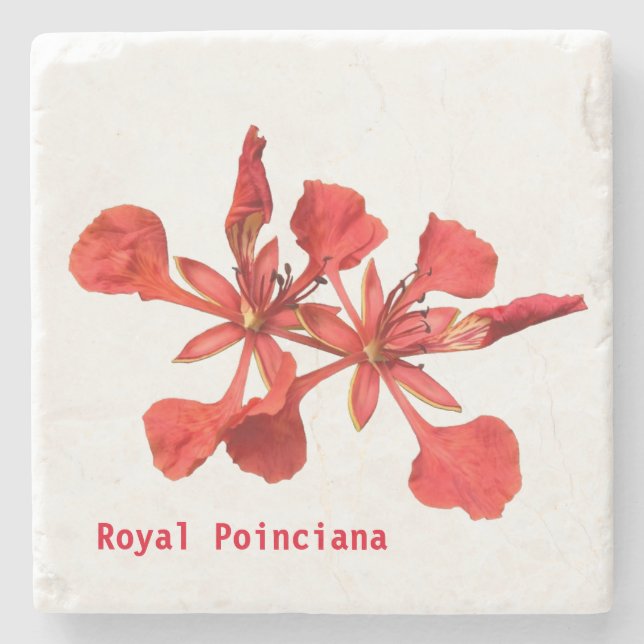 Porta-copo De Pedra Stone Porta copos Royal Poinciana (Frente)