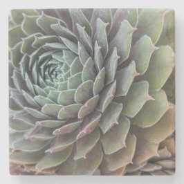 Porta-copo De Pedra Succulent Fractal