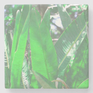 Porta-copo De Pedra Summer Vibes Banana Tree deixa pastel verde-claro