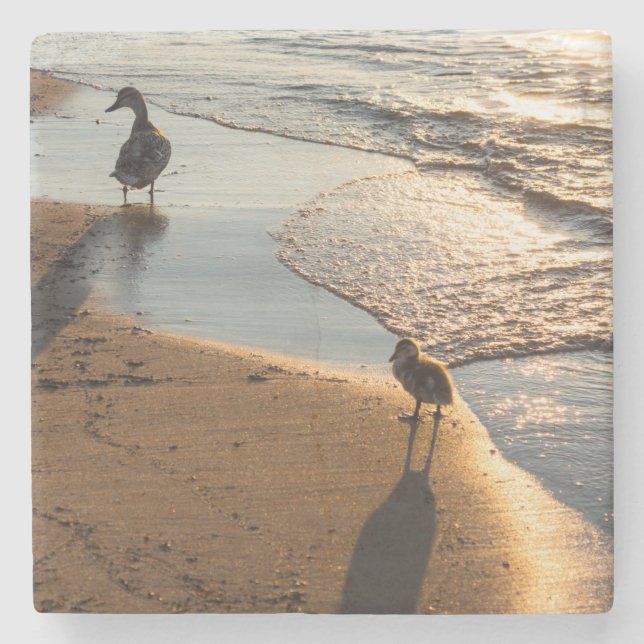 Porta-copo De Pedra Sunset Walk Com Mamãe (Frente)