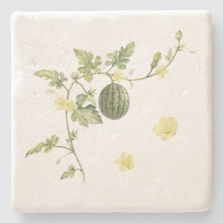 Porta-copo De Pedra Suporte de Pedra de Videira de Melancia Botânica