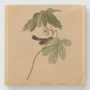 Porta-copo De Pedra Swamp Sparrow from Audubon's Birds of America