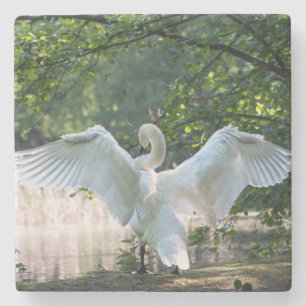 Porta-copo De Pedra Swan com Espalhamento de Asas