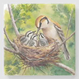 Porta-copo De Pedra Sweet bird nest painting