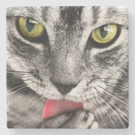 Porta-copo De Pedra Tabby Cat Licing Paw