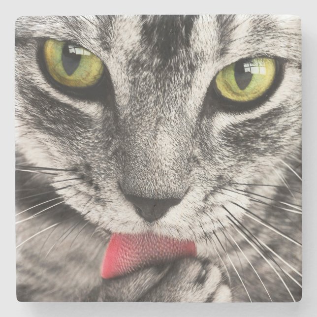 Porta-copo De Pedra Tabby Cat Licing Paw (Frente)