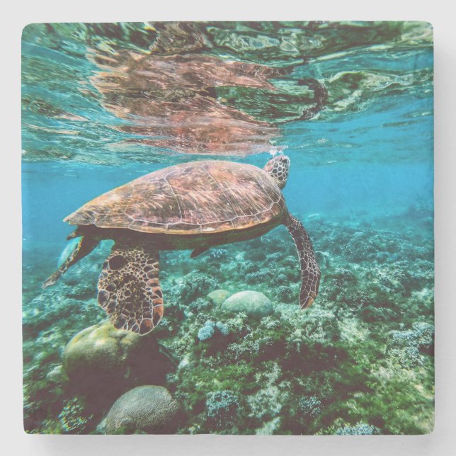 Porta-copo De Pedra Tartaruga de mar tropical submarina (Frente)