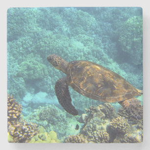 Porta-copo De Pedra tartaruga no mar