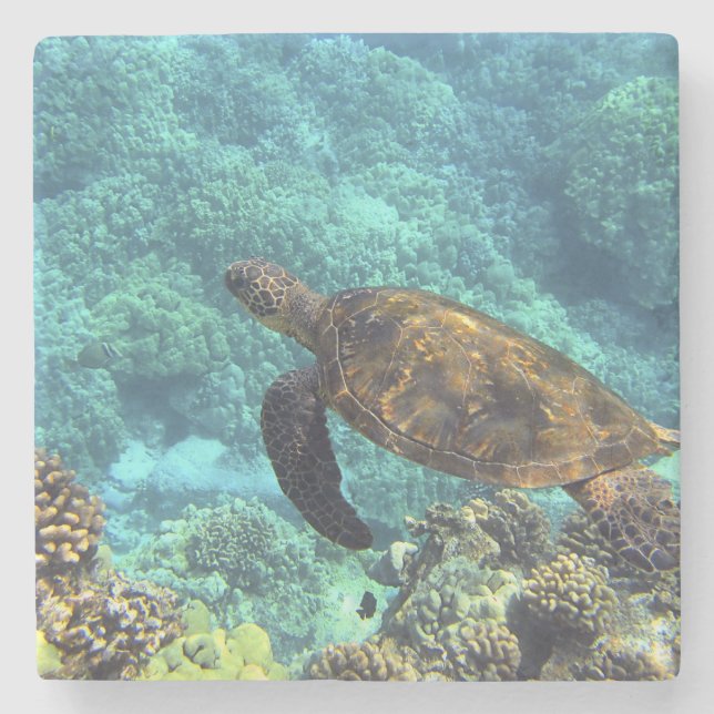 Porta-copo De Pedra tartaruga no mar (Frente)