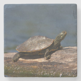 Porta-copo De Pedra Tartaruga pintada em um tronco
