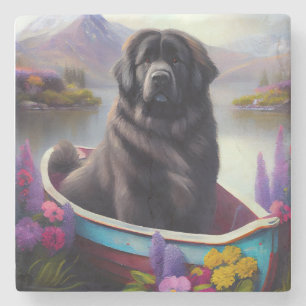 Porta-copo De Pedra Terra Nova em um Paddle: Uma Aventura Cênica