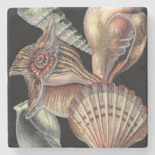 Porta-copo De Pedra Tesouros do mar