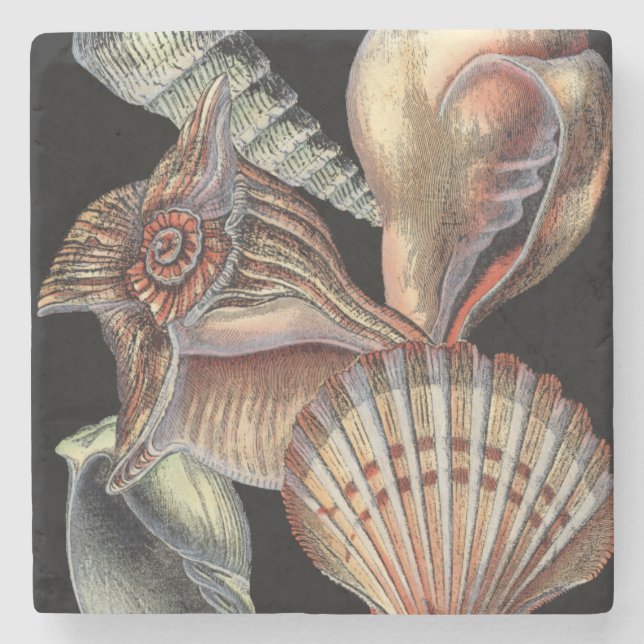 Porta-copo De Pedra Tesouros do mar (Frente)