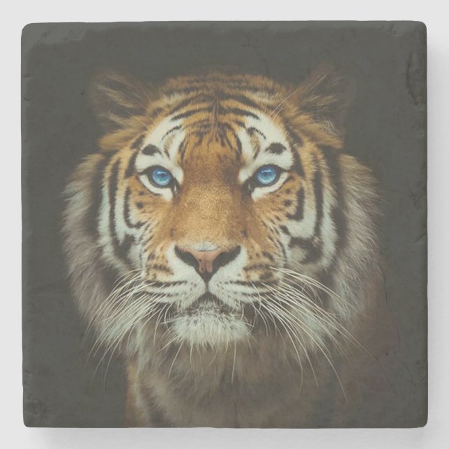 Porta-copo De Pedra Tigre (Frente)