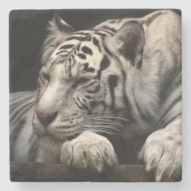 Porta-copo De Pedra Tigre Branco (Frente)