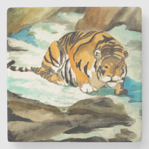 Porta-copo De Pedra Tigre de Aquarela
