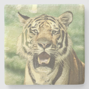 Porta-copo De Pedra tigre metálico