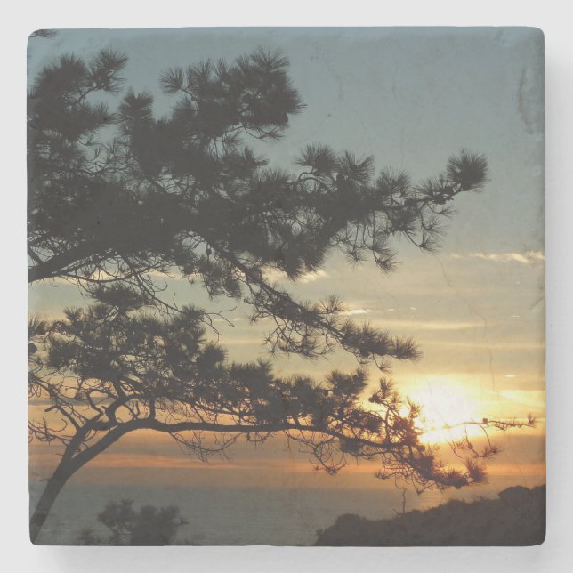 Porta-copo De Pedra Torrey Pine Sunset I California Landscape (Frente)
