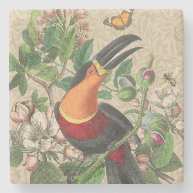 Porta-copo De Pedra Toucan Jungle Tropical Bird Beauful Antiguidade (Frente)