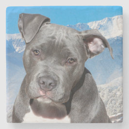 Porta-copo De Pedra Touro