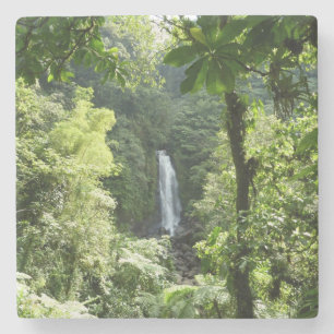 Porta-copo De Pedra Traffic Falls Tropical RainForest Fotografia