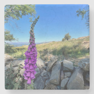 Porta-copo De Pedra Tranquilidade do campo inglês